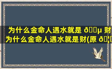 为什么金命人遇水就是 🌵 财,为什么金命人遇水就是财(原 🦅 因)